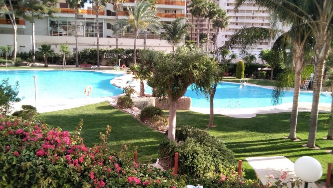 Venta - Apartment - Benidorm - Benidorm Centro