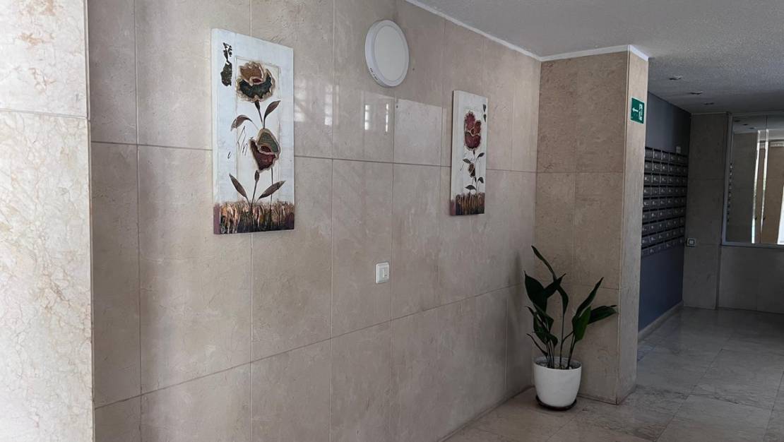 Venta - Apartment - Benidorm - Benidorm Centro