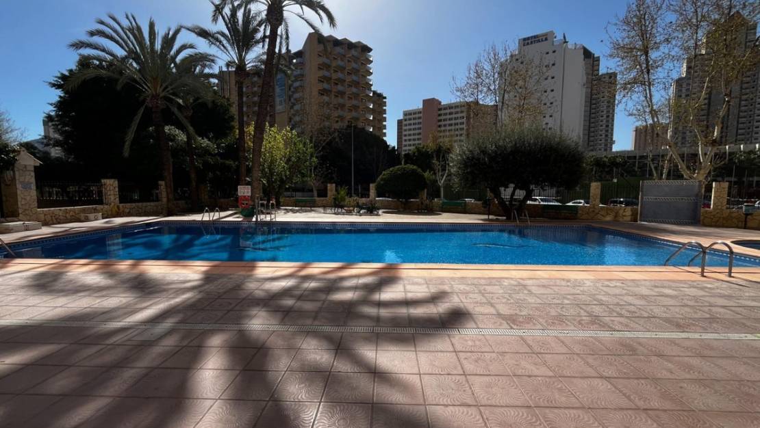 Venta - Apartment - Benidorm - Benidorm Centro