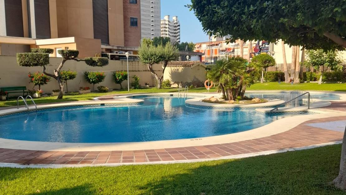 Venta - Apartment - Benidorm - Benidorm Centro