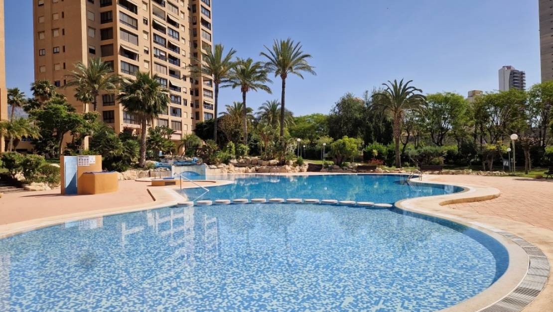 Venta - Apartment - Benidorm - Benidorm Centro