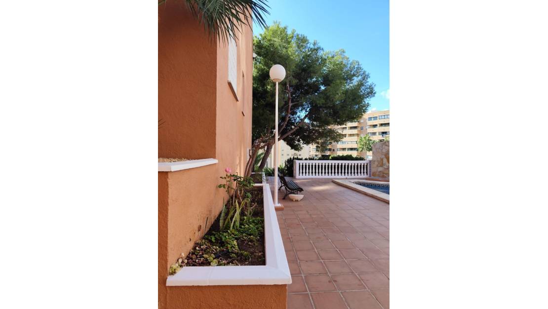 Venta - Apartment - Benidorm - Benidorm Centro