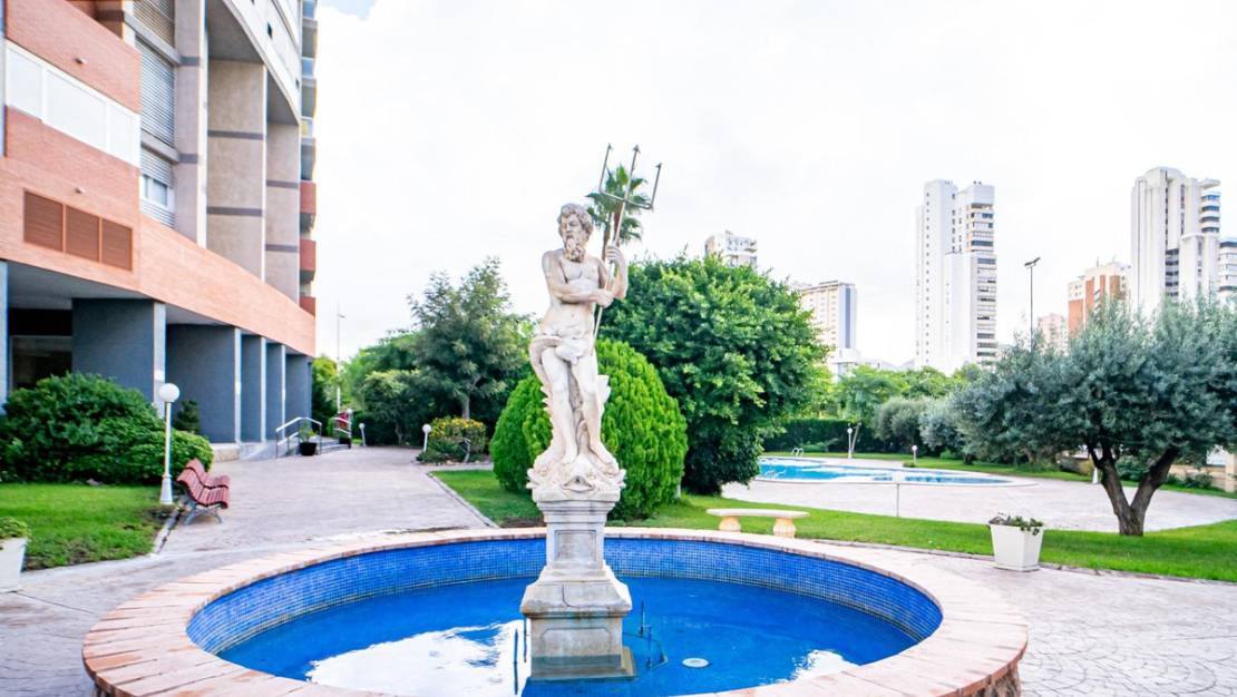Venta - Apartment - Benidorm - Benidorm Centro