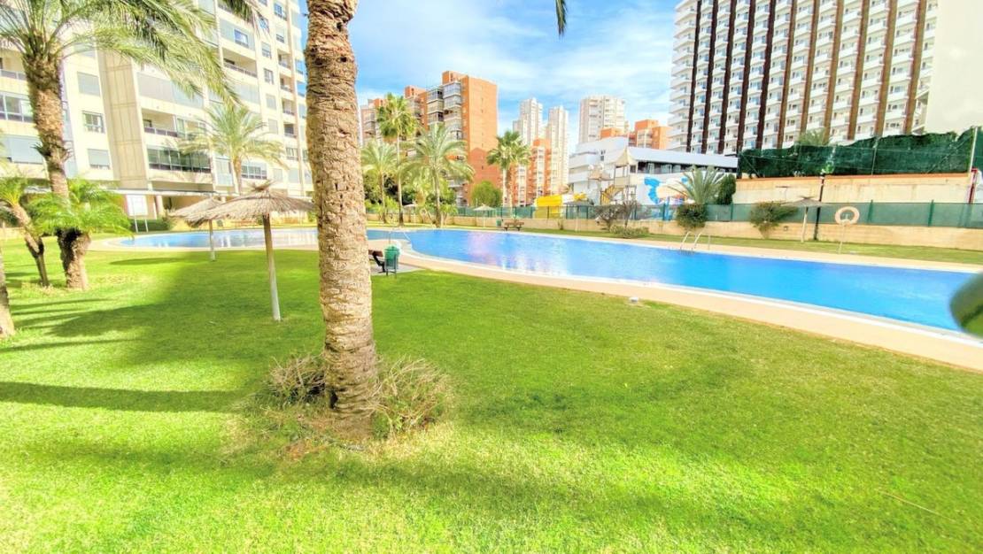 Venta - Apartment - Benidorm - Benidorm Centro