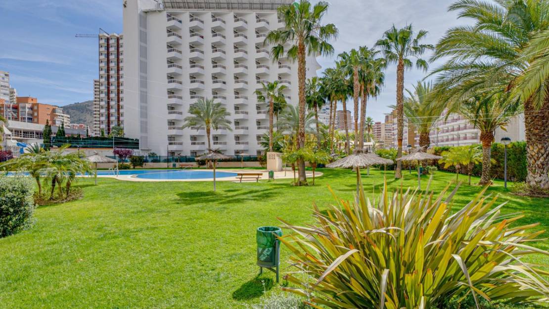 Venta - Apartment - Benidorm - Benidorm Centro