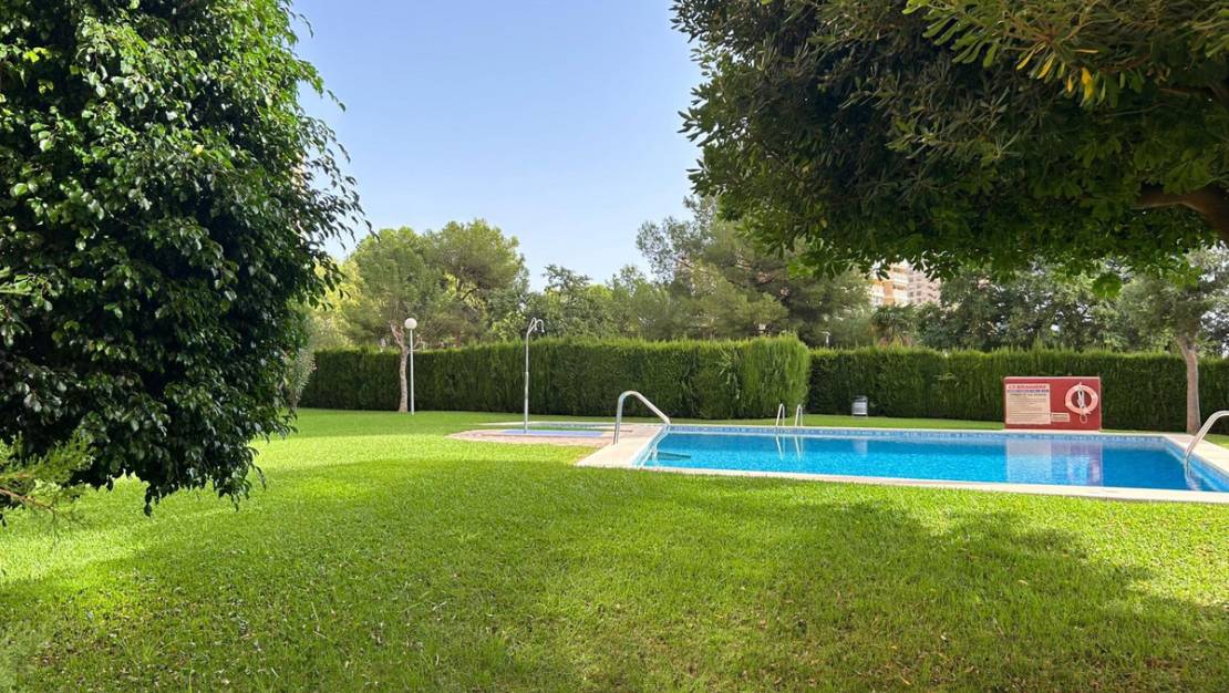 Venta - Apartment - Benidorm - Benidorm Centro