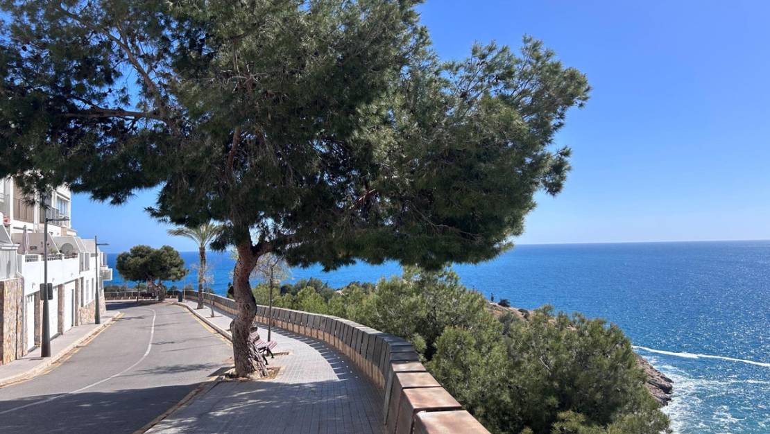 Venta - Apartment - Benidorm - Benidorm Centro