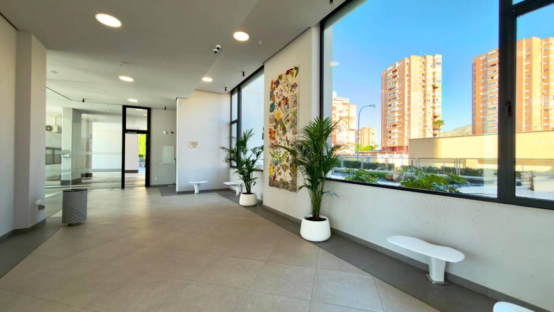 Venta - Apartment - Benidorm - Benidorm Centro