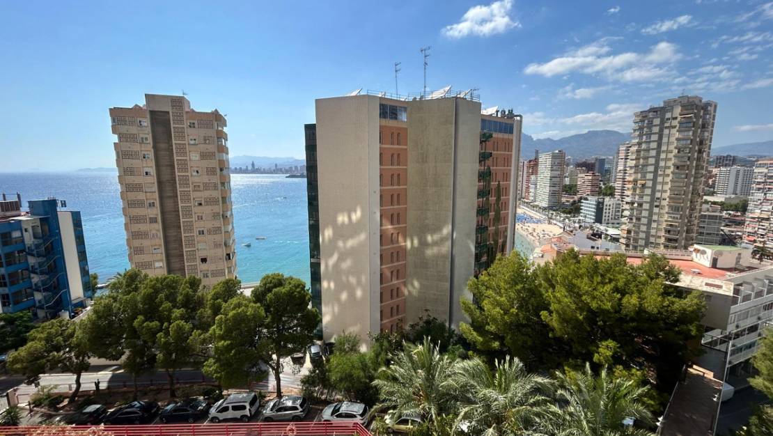 Venta - Apartment - Benidorm - Benidorm Centro