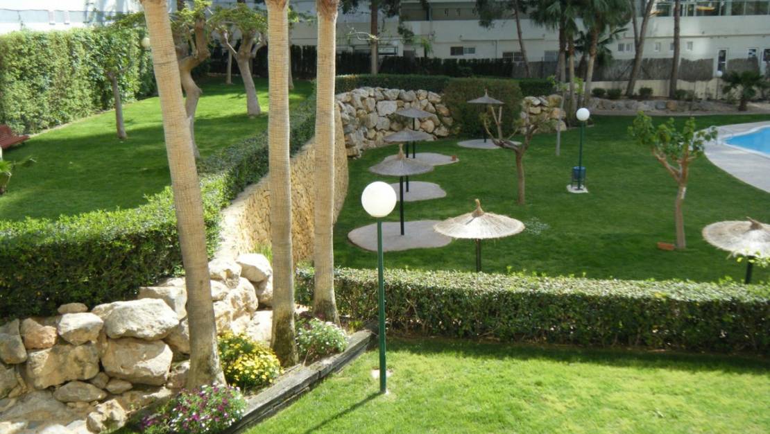 Venta - Apartment - Benidorm - Benidorm Centro