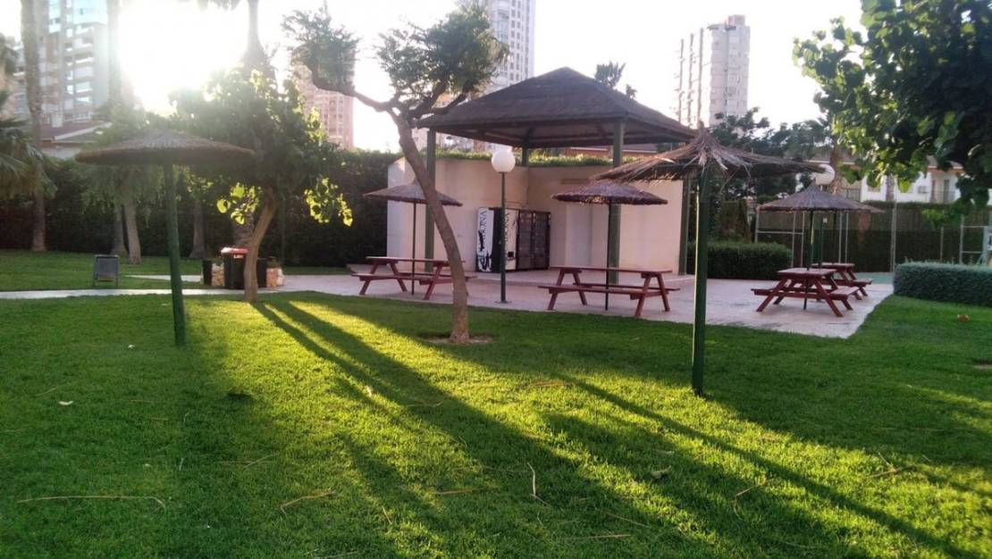 Venta - Apartment - Benidorm - Benidorm Centro