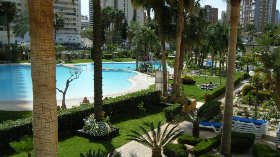 Venta - Apartment - Benidorm - Benidorm Centro