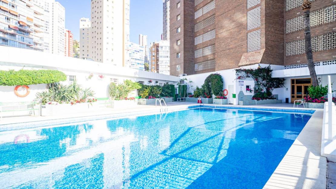 Venta - Apartment - Benidorm - Benidorm Centro