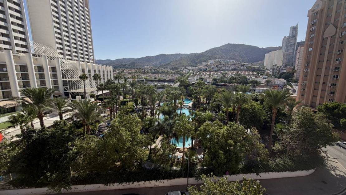 Venta - Apartment - Benidorm - Benidorm Centro