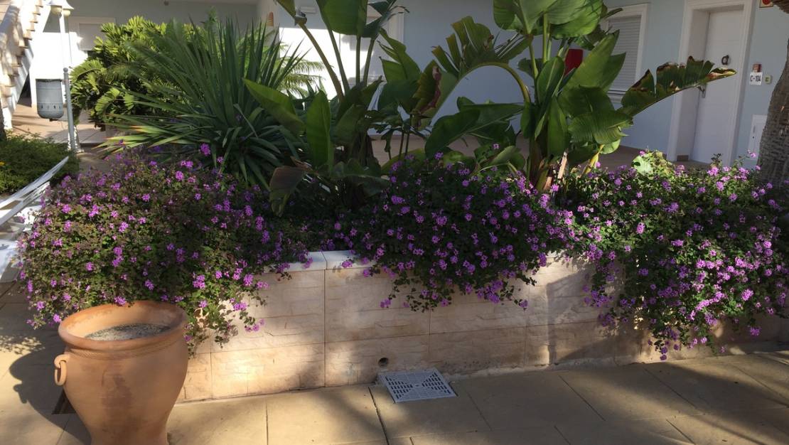 Venta - Apartment - Benissa - La Fustera