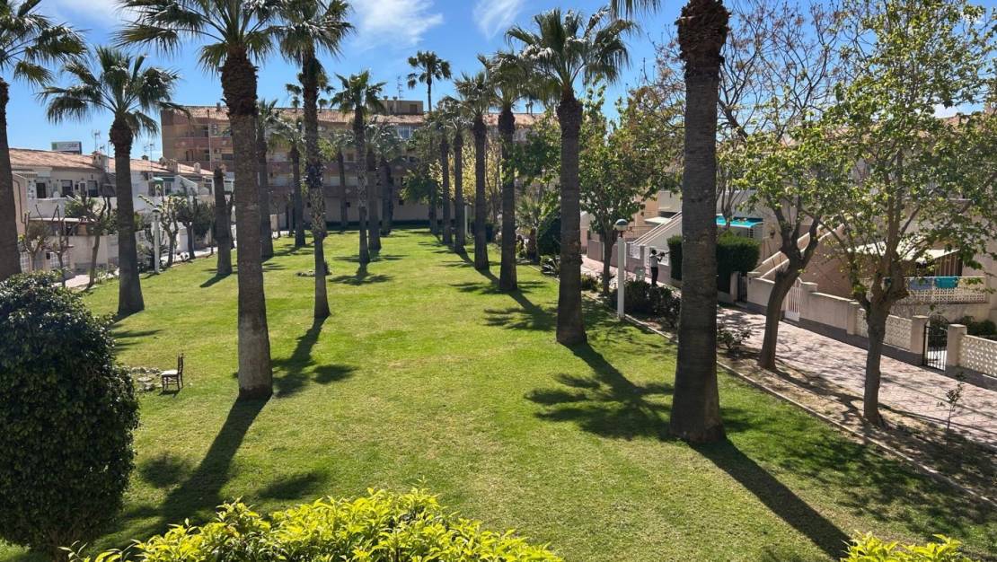 Venta - Apartment - Cabo Roig