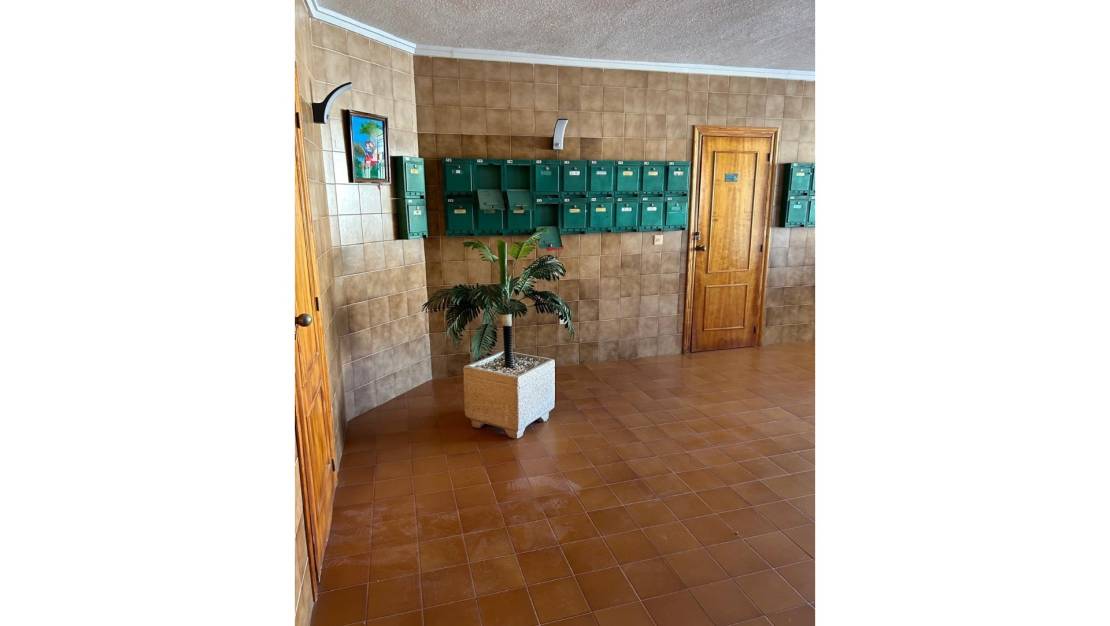 Venta - Apartment - Cabo Roig
