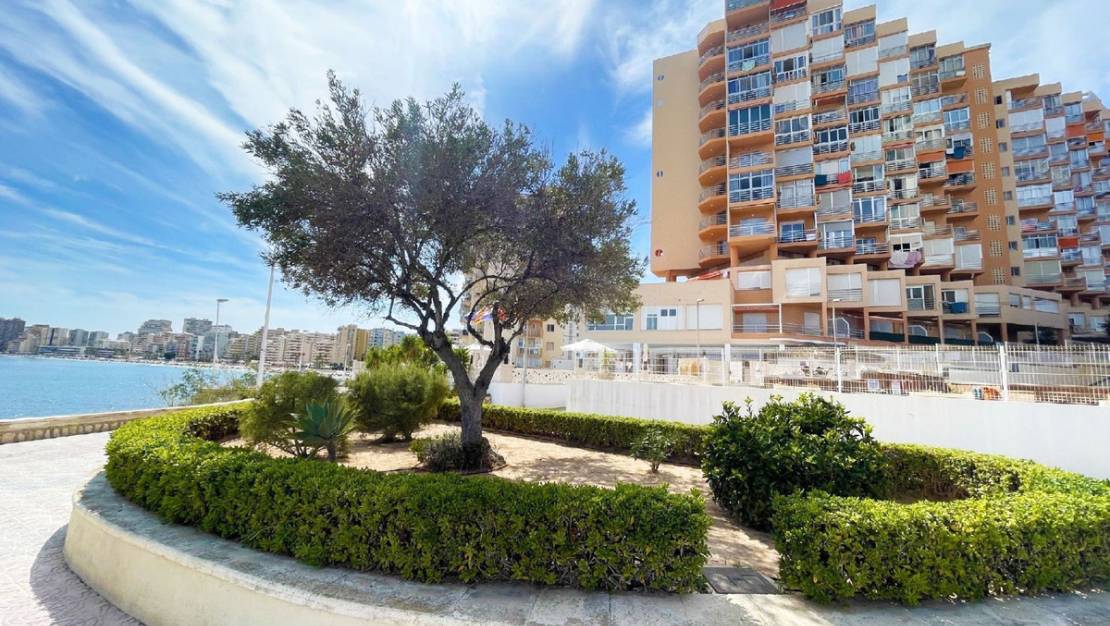 Venta - Apartment - Calpe - Calpe Centro