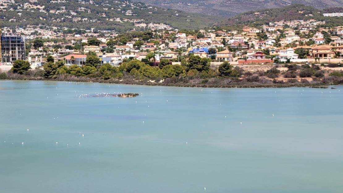 Venta - Apartment - Calpe - Calpe Centro