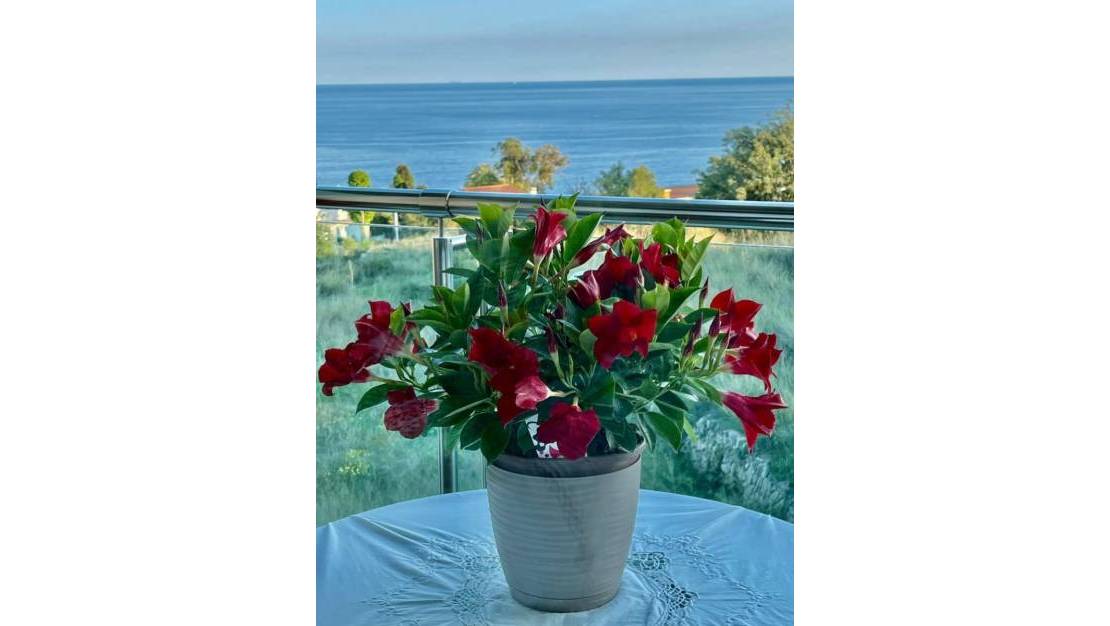 Venta - Apartment - Calpe - Calpe Centro