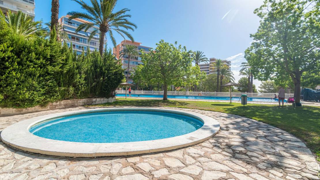 Venta - Apartment - Campello - El Campello - Campello - El Campello Centro