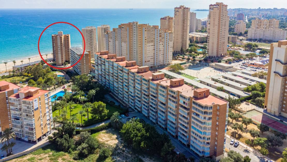 Venta - Apartment - Campello - El Campello - Campello - El Campello Centro