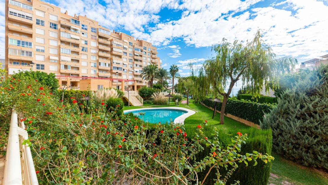 Venta - Apartment - Campello - El Campello - Campello - El Campello Centro