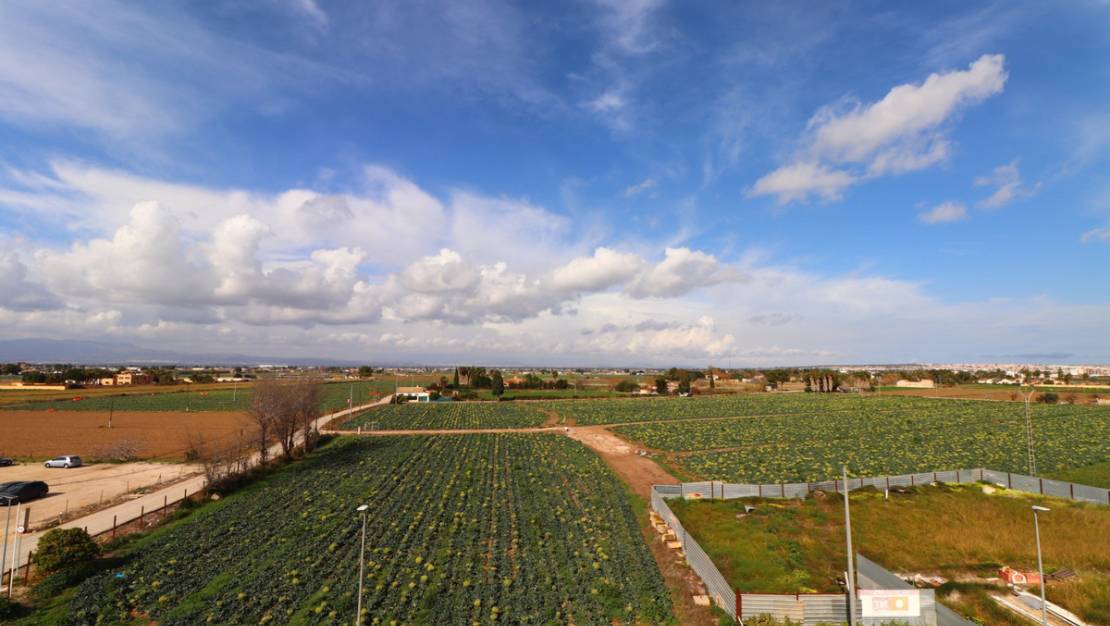 Venta - Apartment - Daya Vieja