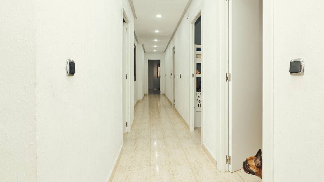 Venta - Apartment - Dolores - Dolores Centro
