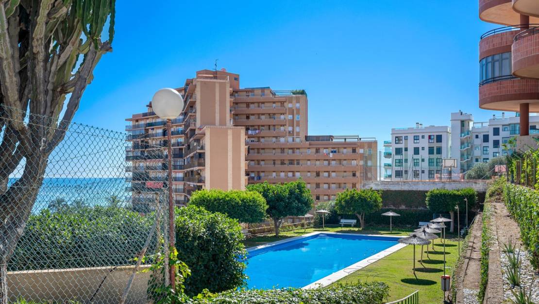 Venta - Apartment - Elche - Arenales del Sol