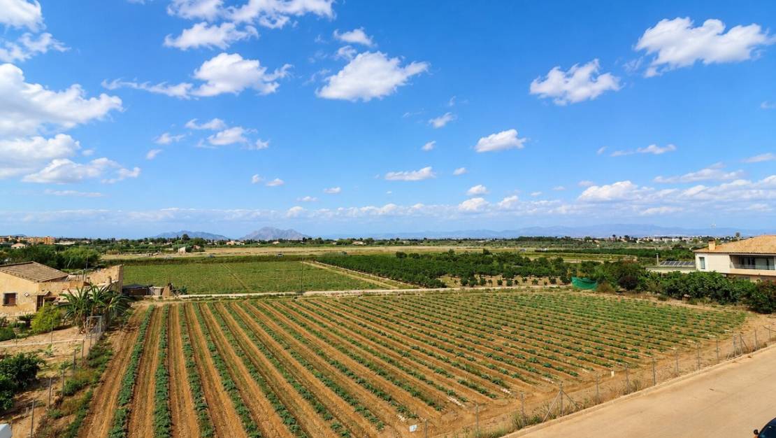 Venta - Apartment - Formentera del Segura - Los Palacios