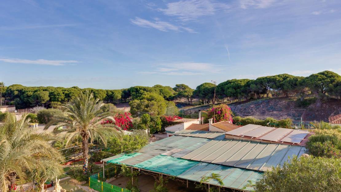 Venta - Apartment - Guardamar del Segura - Guardamar del Segura Centro