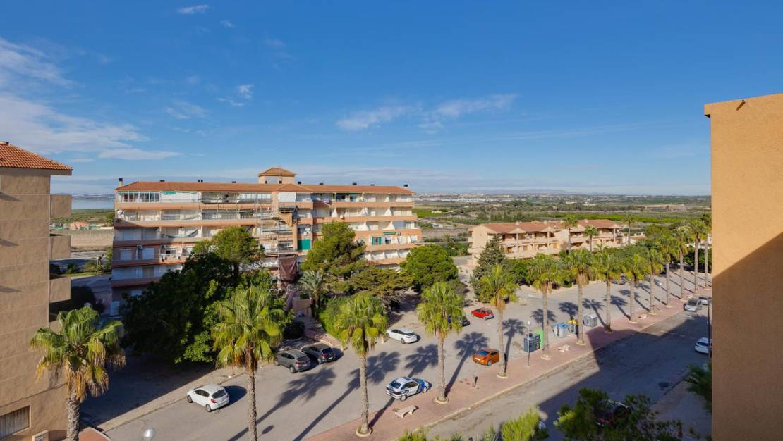 Venta - Apartment - Guardamar del Segura - Guardamar del Segura Centro