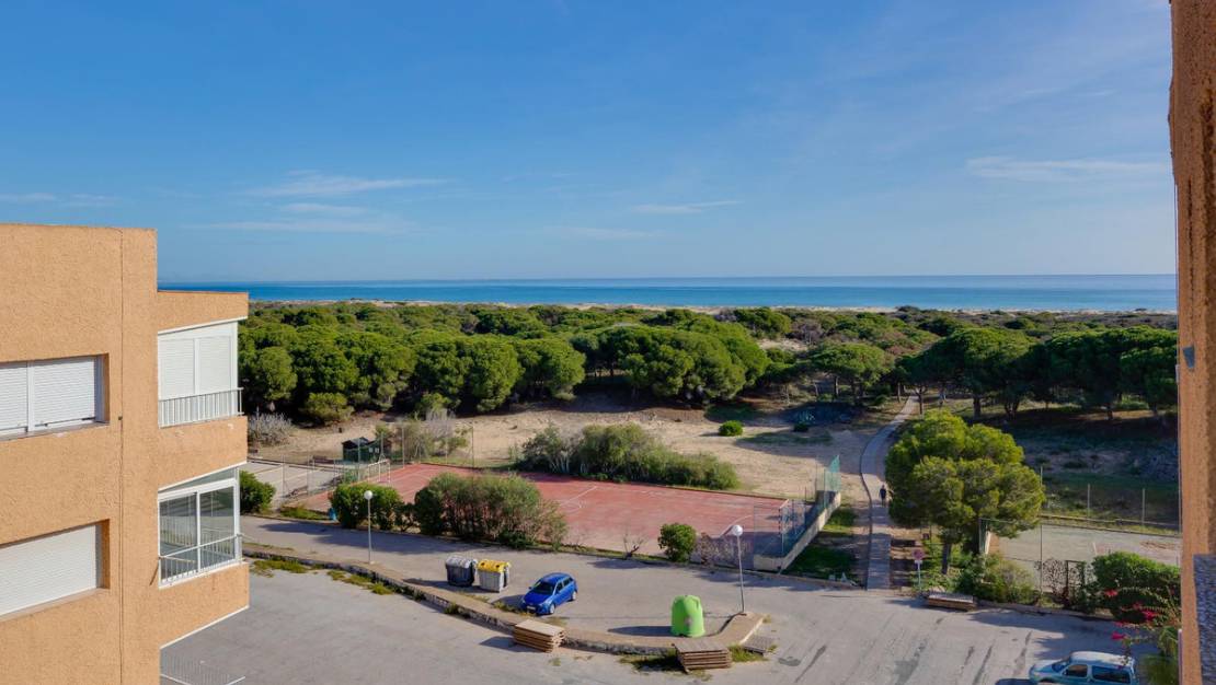 Venta - Apartment - Guardamar del Segura - Guardamar del Segura Centro