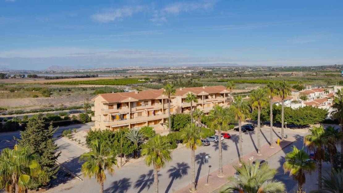 Venta - Apartment - Guardamar del Segura - Guardamar del Segura Centro