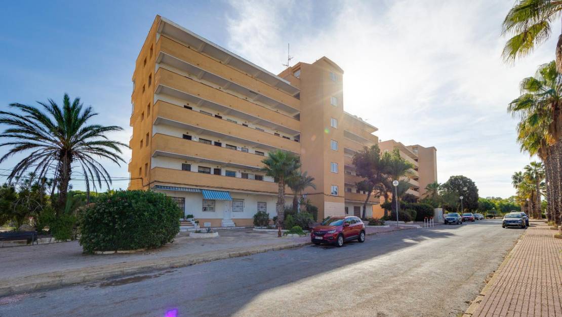 Venta - Apartment - Guardamar del Segura - Guardamar del Segura Centro