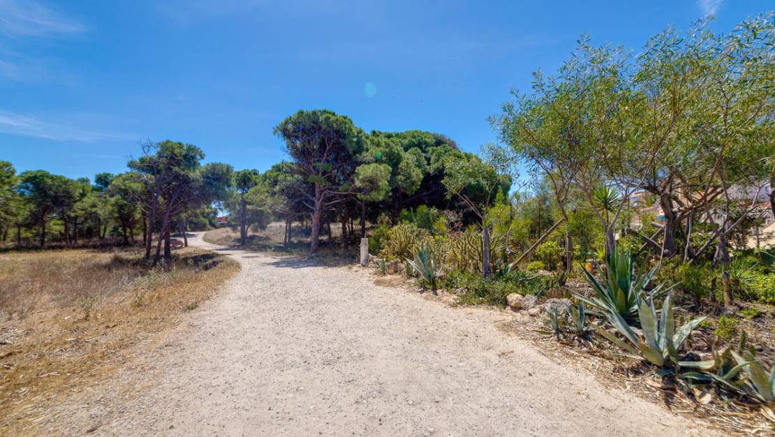 Venta - Apartment - Guardamar del Segura - Guardamar del Segura Centro