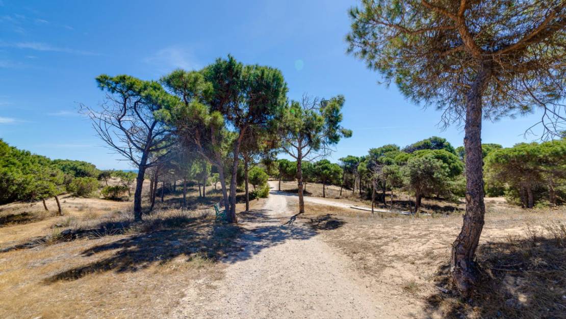 Venta - Apartment - Guardamar del Segura - Guardamar del Segura Centro