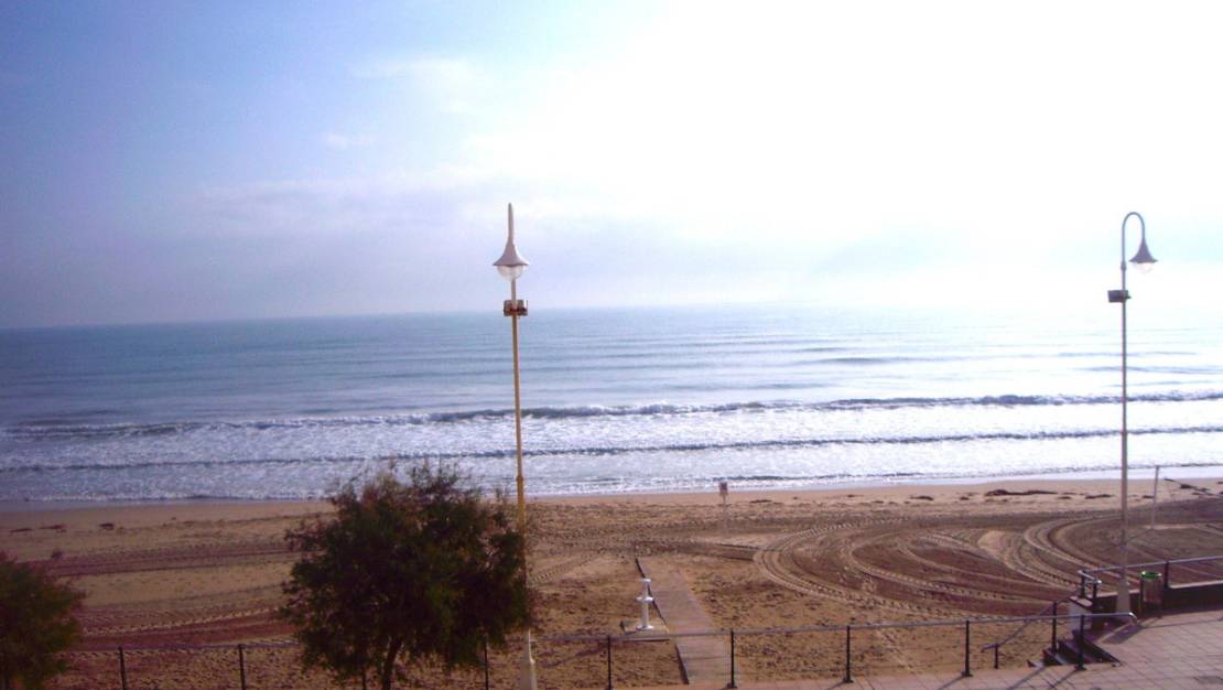 Venta - Apartment - Guardamar del Segura - Guardamar del Segura Centro