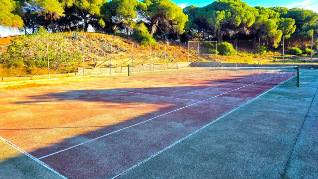 Venta - Apartment - Guardamar del Segura - Guardamar del Segura Centro