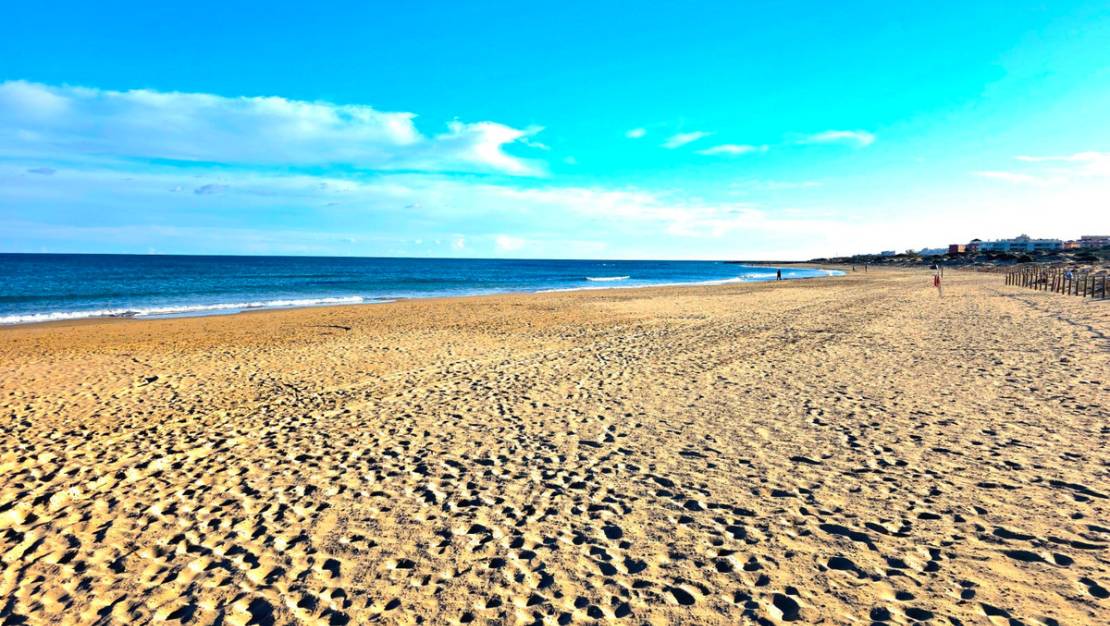 Venta - Apartment - Guardamar del Segura - Guardamar del Segura Centro