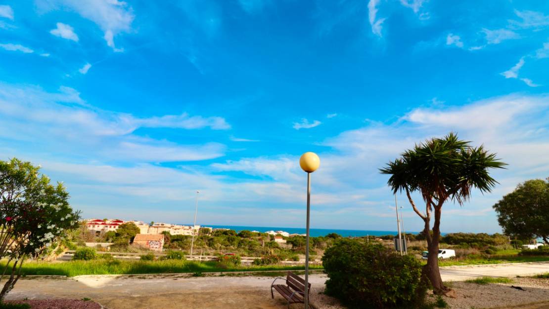 Venta - Apartment - Guardamar del Segura - Guardamar del Segura Centro