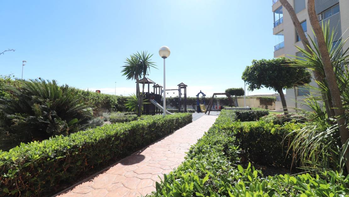 Venta - Apartment - Guardamar del Segura - Guardamar del Segura Centro