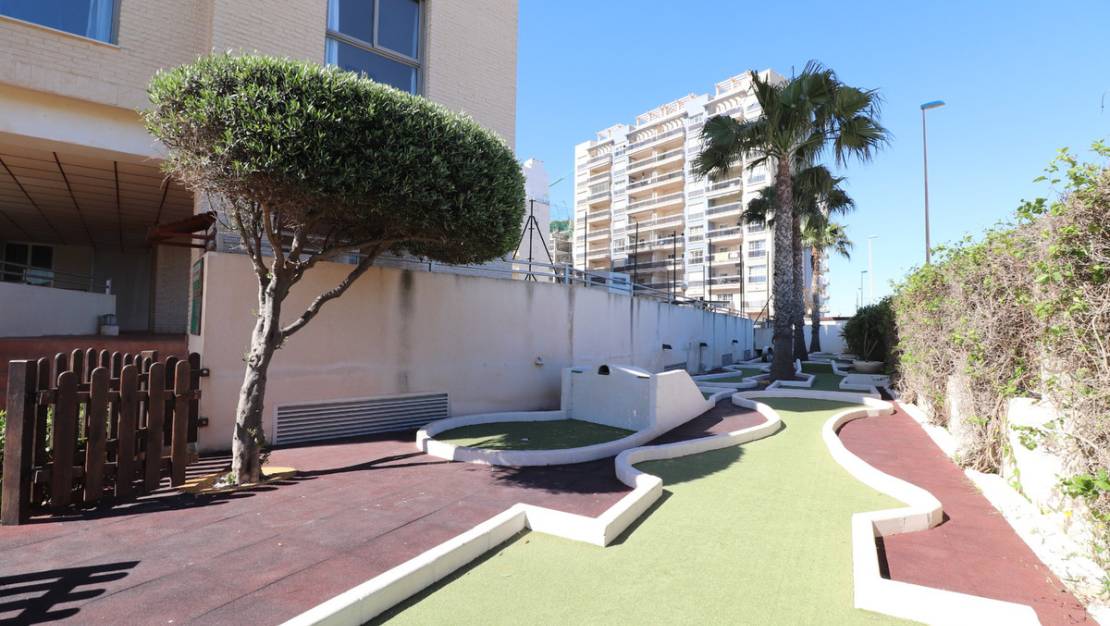 Venta - Apartment - Guardamar del Segura - Guardamar del Segura Centro