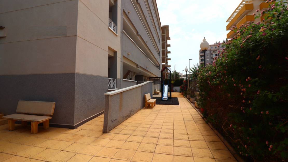 Venta - Apartment - Guardamar del Segura - Guardamar del Segura Centro