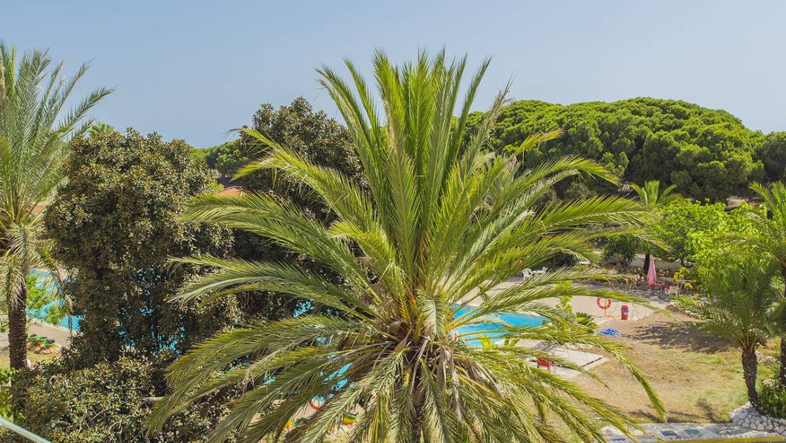 Venta - Apartment - Guardamar del Segura - Guardamar del Segura Centro