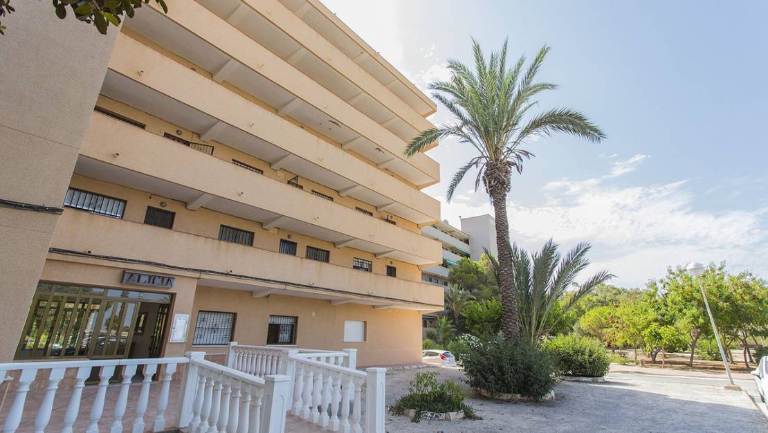 Venta - Apartment - Guardamar del Segura - Guardamar del Segura Centro