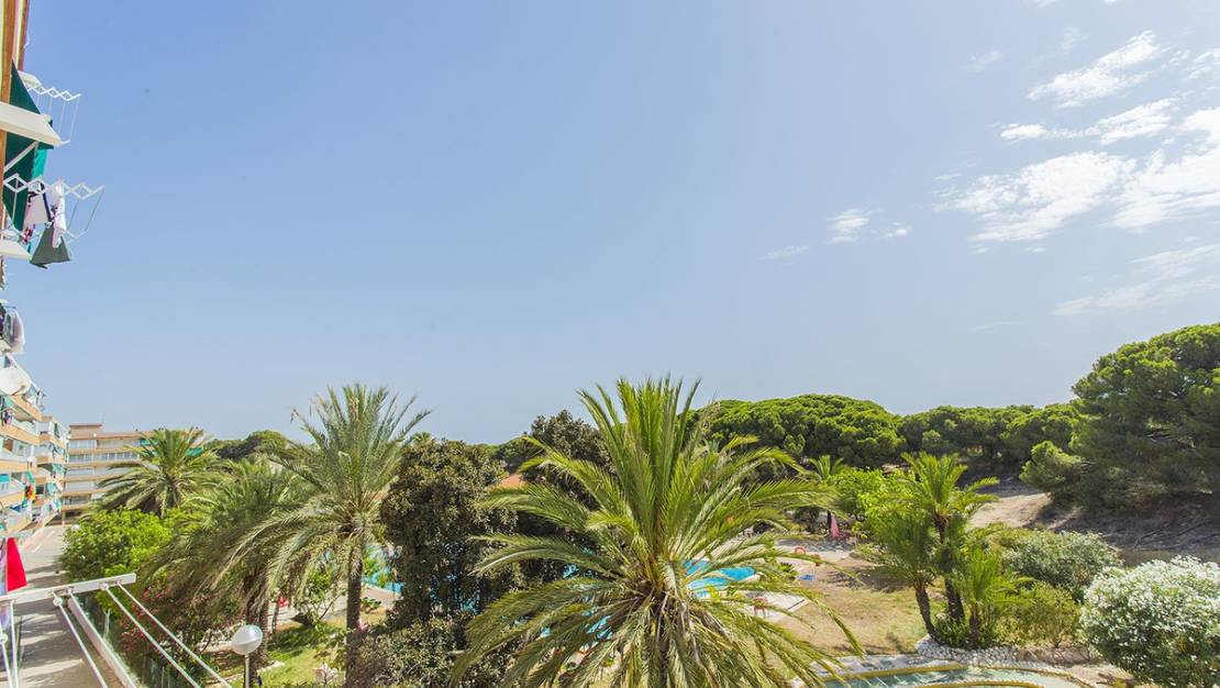 Venta - Apartment - Guardamar del Segura - Guardamar del Segura Centro