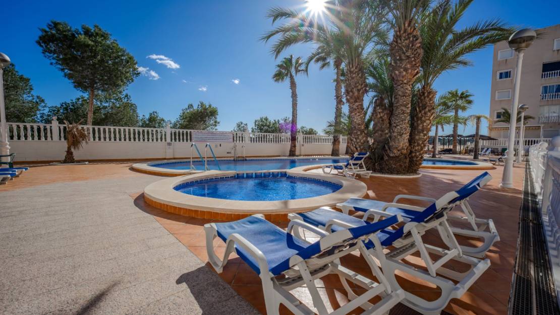 Venta - Apartment - Guardamar del Segura - Guardamar del Segura Centro