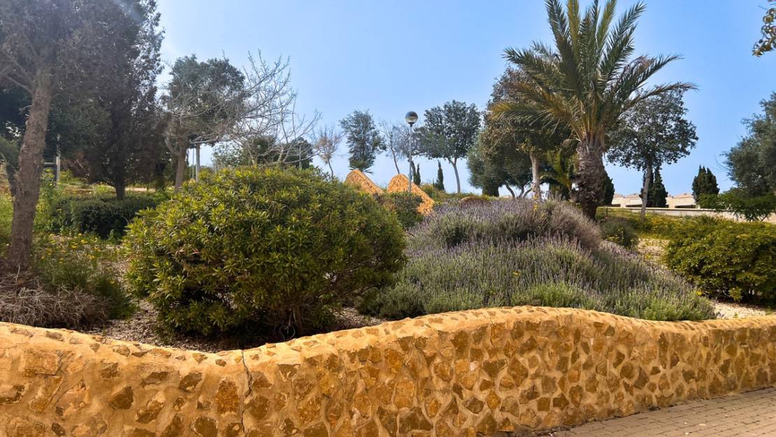 Venta - Apartment - Guardamar del Segura - Guardamar del Segura Centro